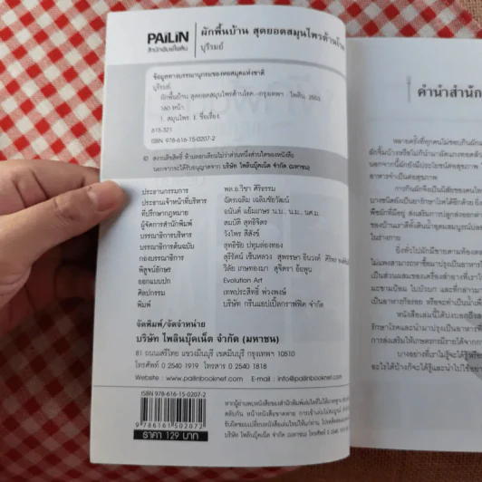 ผักพื้นบ้านสุดยอดสมุนไพรต้านโรค - บุรีรมย์ รูปที่ 6