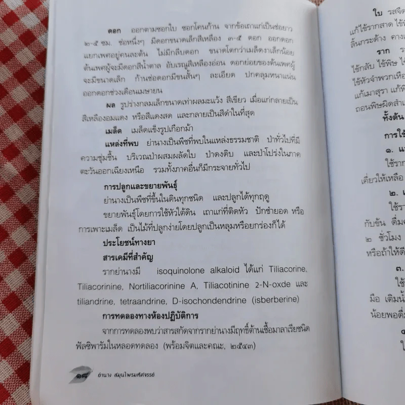ย่านาง - ใจเพชร มีทรัพย์ (หมอเขียว) รูปที่ 13