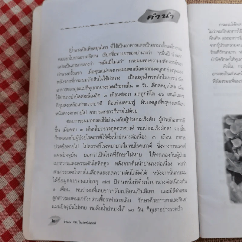 ย่านาง - ใจเพชร มีทรัพย์ (หมอเขียว) รูปที่ 8