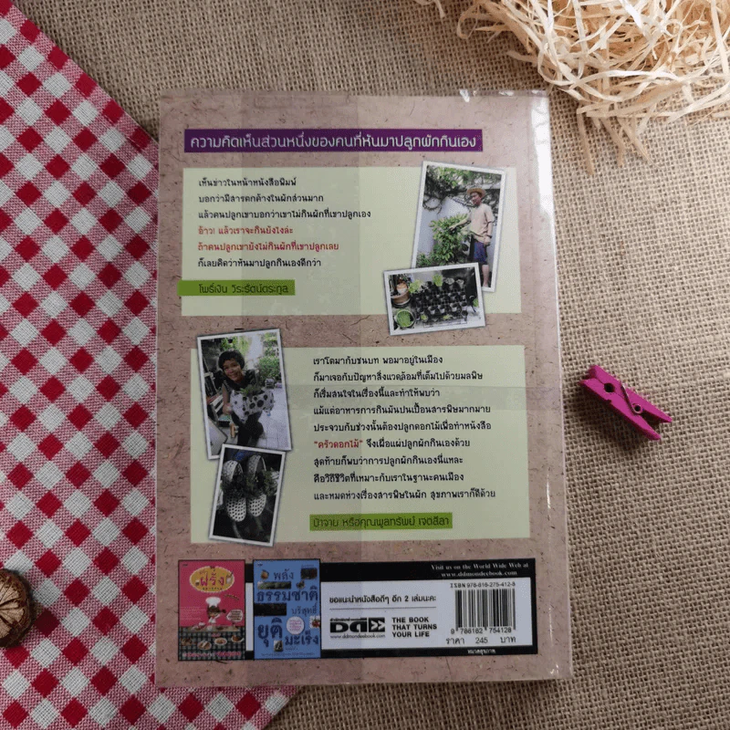 ปลูกผักวันหยุด Holiday Plan - ลลนา แสงอาทิตย์ รูปที่ 2