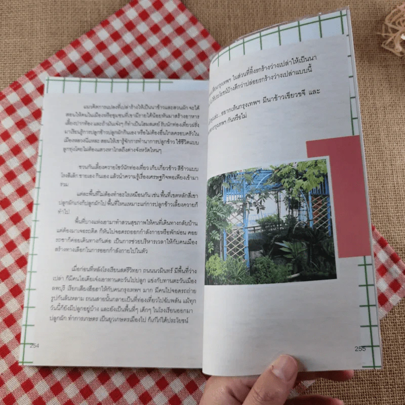 ปลูกผักวันหยุด Holiday Plan - ลลนา แสงอาทิตย์ รูปที่ 13