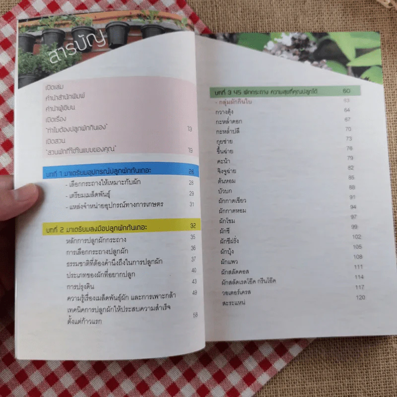ปลูกผักวันหยุด Holiday Plan - ลลนา แสงอาทิตย์ รูปที่ 10