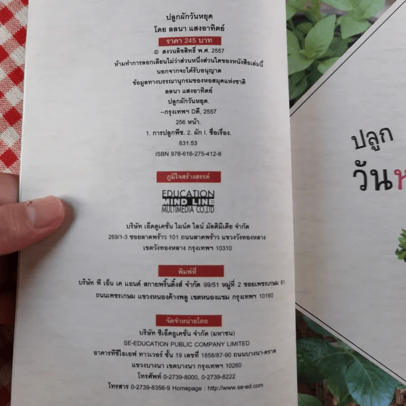 ปลูกผักวันหยุด Holiday Plan - ลลนา แสงอาทิตย์ รูปที่ 7