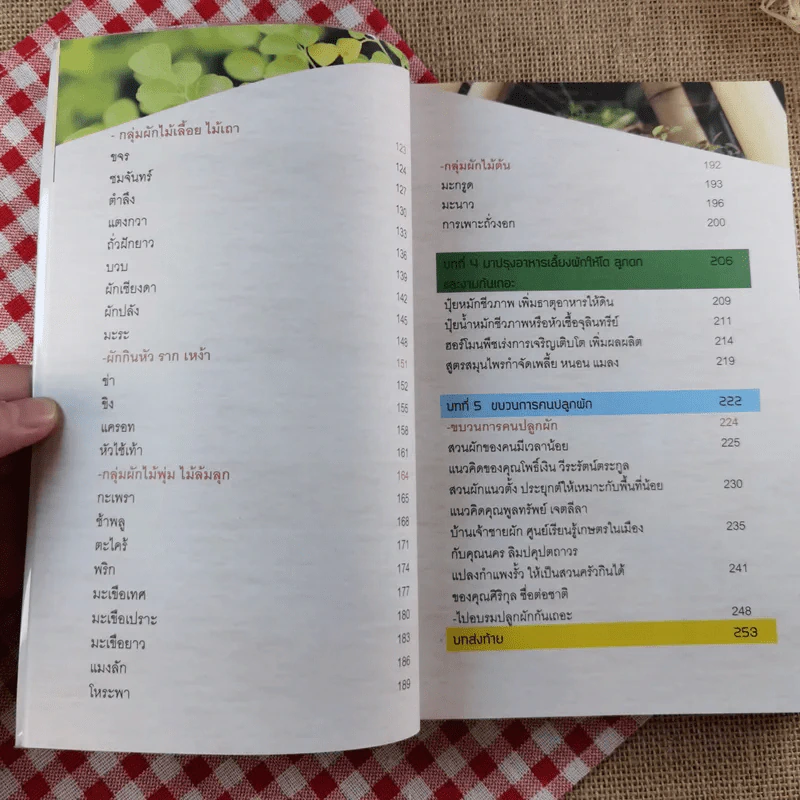 ปลูกผักวันหยุด Holiday Plan - ลลนา แสงอาทิตย์ รูปที่ 11