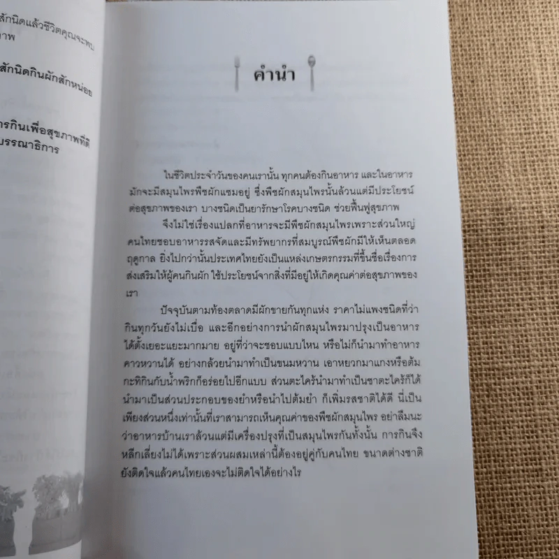 ผักพื้นบ้านสุดยอดสมุนไพรต้านโรค - บุรีรมย์ รูปที่ 9