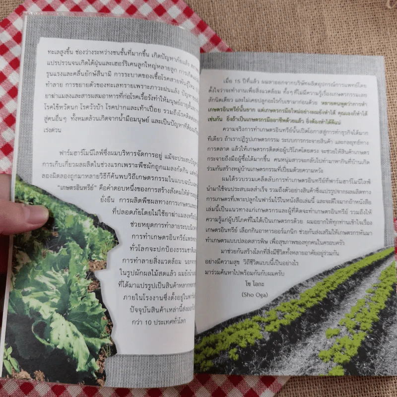 Organic Farm สิ่งมหัศจรรย์เกิดขึ้นที่ไร่ - Sho Oga รูปที่ 10
