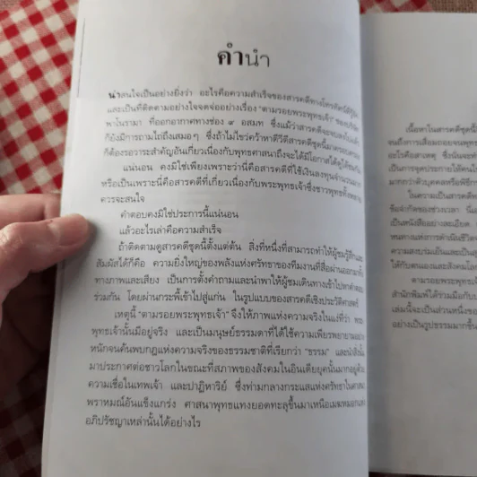 ตามรอยพระพุทธเจ้า - ลักษณา จีระจันทร์ รูปที่ 9