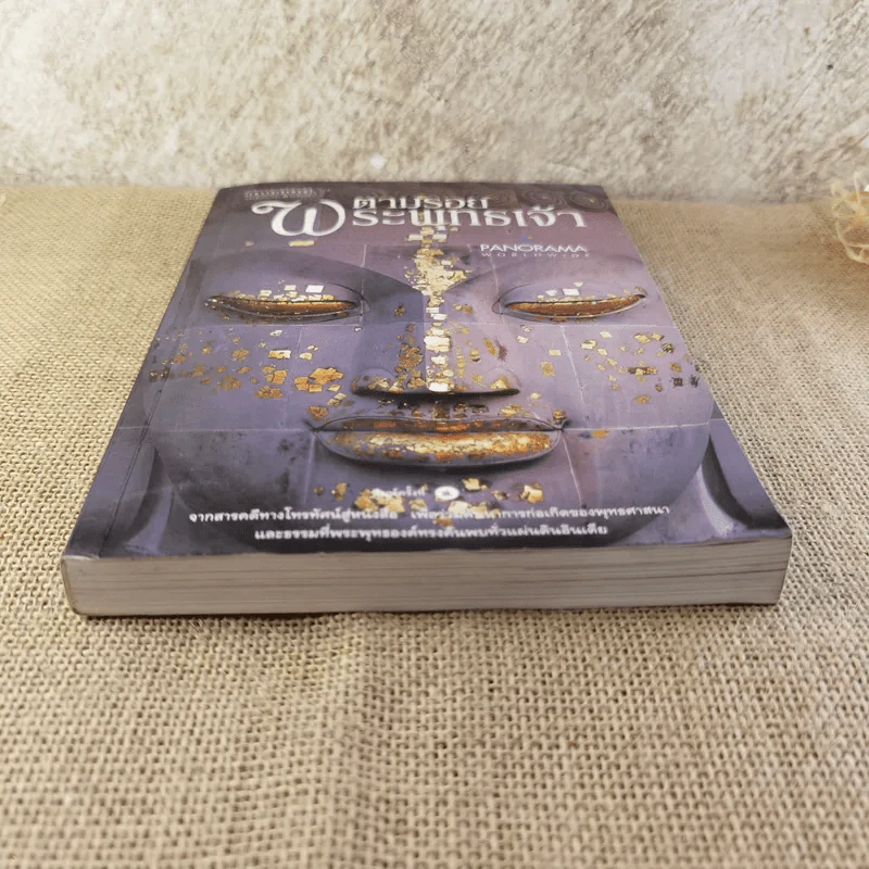 ตามรอยพระพุทธเจ้า - ลักษณา จีระจันทร์ รูปที่ 5