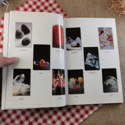 มหัศจรรย์พลังหินบำบัด - จุฑามาศ ณ สงขลา รูปที่ 14