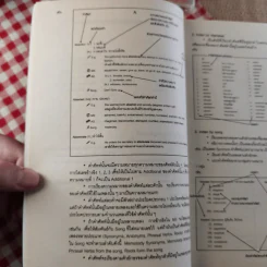 Memolody Dictionary รูปที่ 11