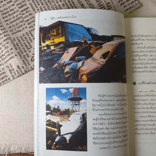 ญี่ปุ่น บทเรียนหลังคราบน้ำตา - ศาสตราจารย์ ดร.ปรีชา อิงคาภิรมย์ รูปที่ 11