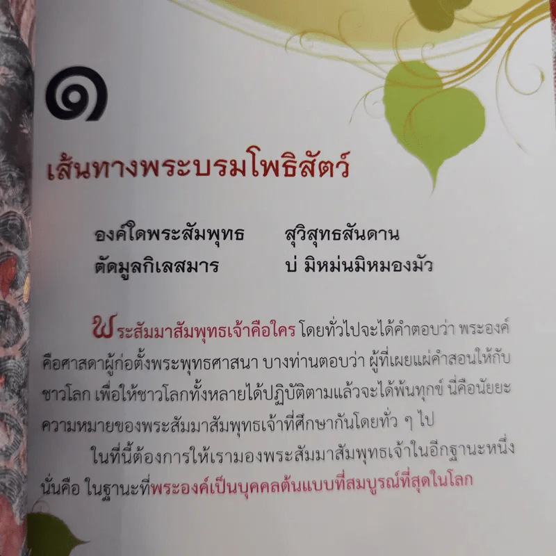 เส้นทางพระบรมโพธิสัตว์ - พระมหาสมชาย ฐานวุฑโฒ รูปที่ 9