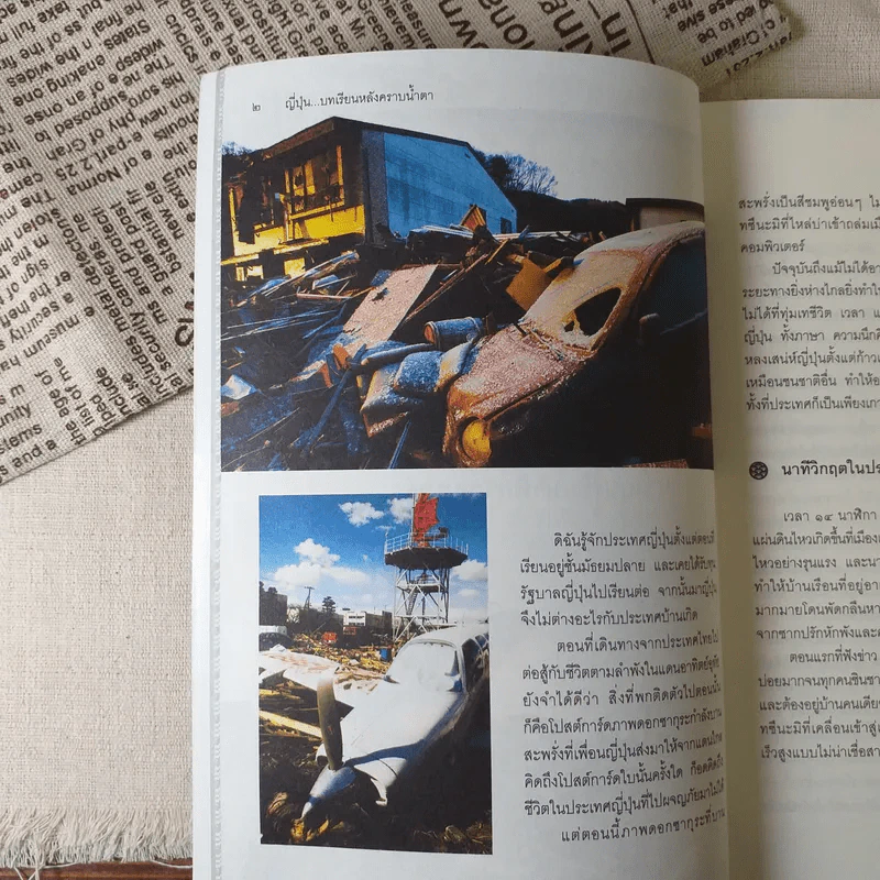 ญี่ปุ่น บทเรียนหลังคราบน้ำตา - ศาสตราจารย์ ดร.ปรีชา อิงคาภิรมย์ รูปที่ 11