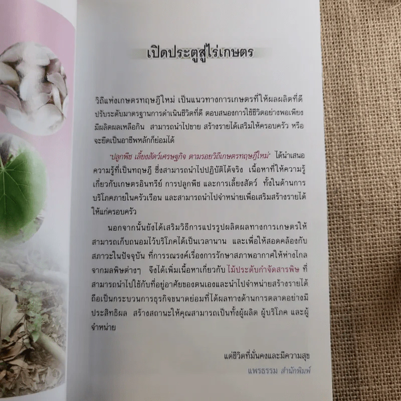 ปลูกพืช เลี้ยงสัตว์ เศรษฐกิจ ตามรอยวิถีเกษตรทฤษฎีใหม่ - เจตน์สิริ ปูชปุณญรัศมิ์ รูปที่ 8