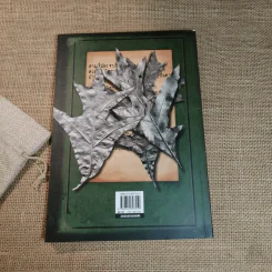 ตำนานสไปเดอร์วิก The Spiderwick Chronicles เล่ม 4 โลหพฤกษ์ รูปที่ 14