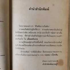 เลื่อมสลับลาย - กฤษณา อโศกสิน รูปที่ 10