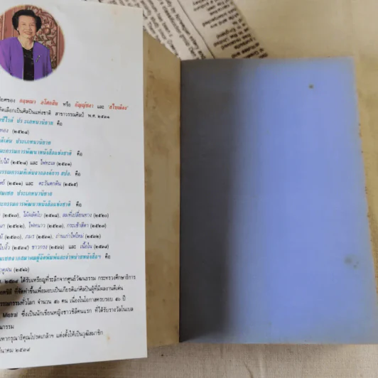 เลื่อมสลับลาย - กฤษณา อโศกสิน รูปที่ 7