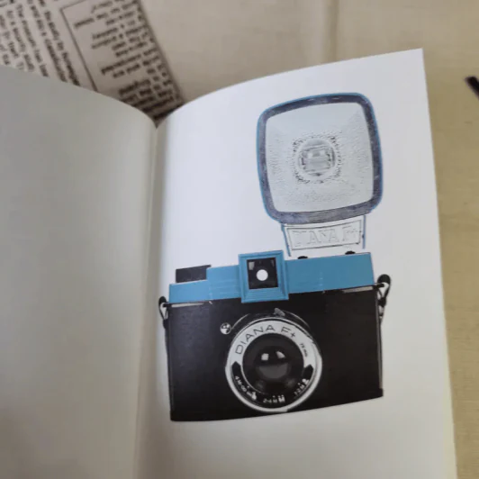 Diana F+ More True Tales & Short Stories รูปที่ 7