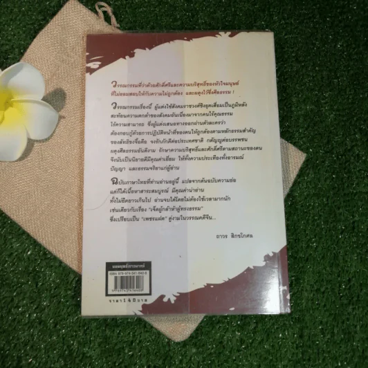 ยอดยุทธ์เยาวมาลย์ - ปกรณ์ ลิมปนุสรณ์ แปล รูปที่ 11
