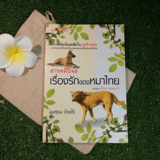 สารคดีปีจอ เรื่องรักของหมาไทย - ลุงทอง บ้านไร่ รูปที่ 1