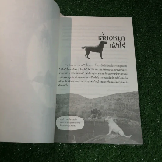 สารคดีปีจอ เรื่องรักของหมาไทย - ลุงทอง บ้านไร่ รูปที่ 9