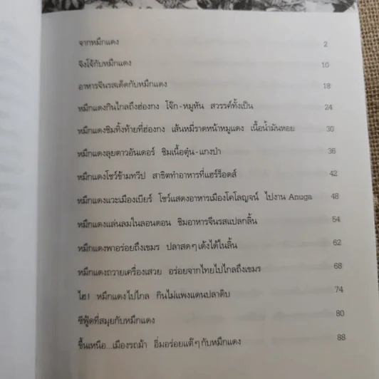 หมึกแดงไกด์ - ม.ล.ศิริเฉลิม สวัสดิวัตน์ รูปที่ 12