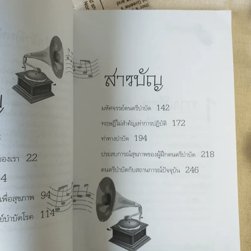 ดนตรีบำบัด - อ.ศุภชัย จารุสมบูรณ์ รูปที่ 11