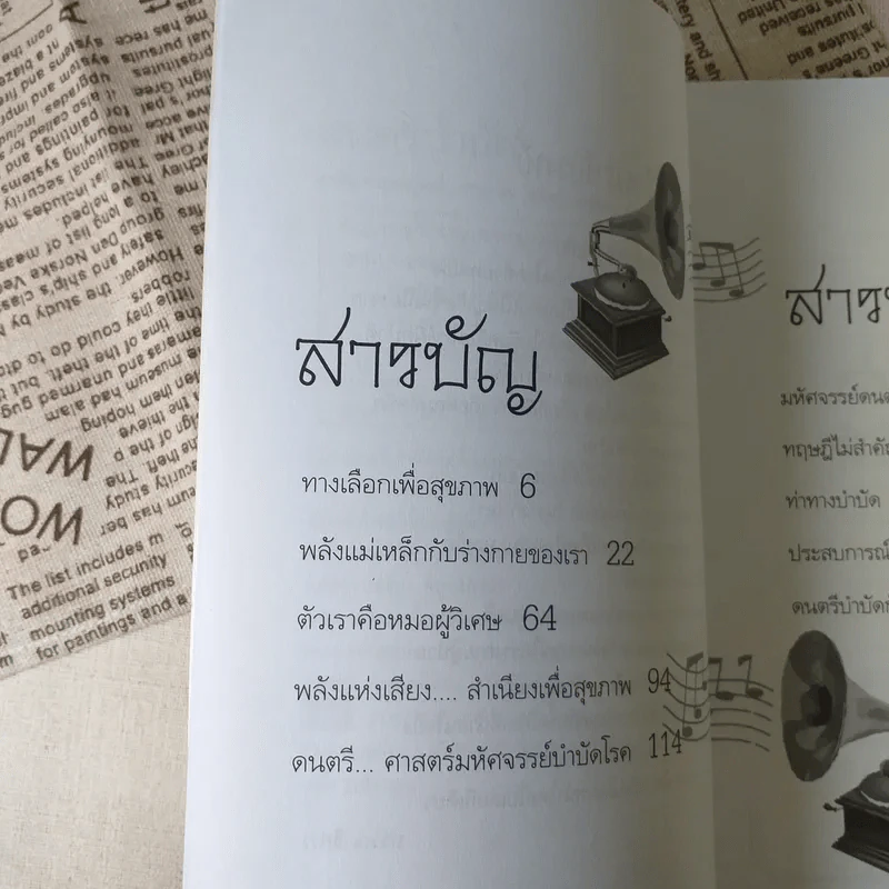 ดนตรีบำบัด - อ.ศุภชัย จารุสมบูรณ์ รูปที่ 10