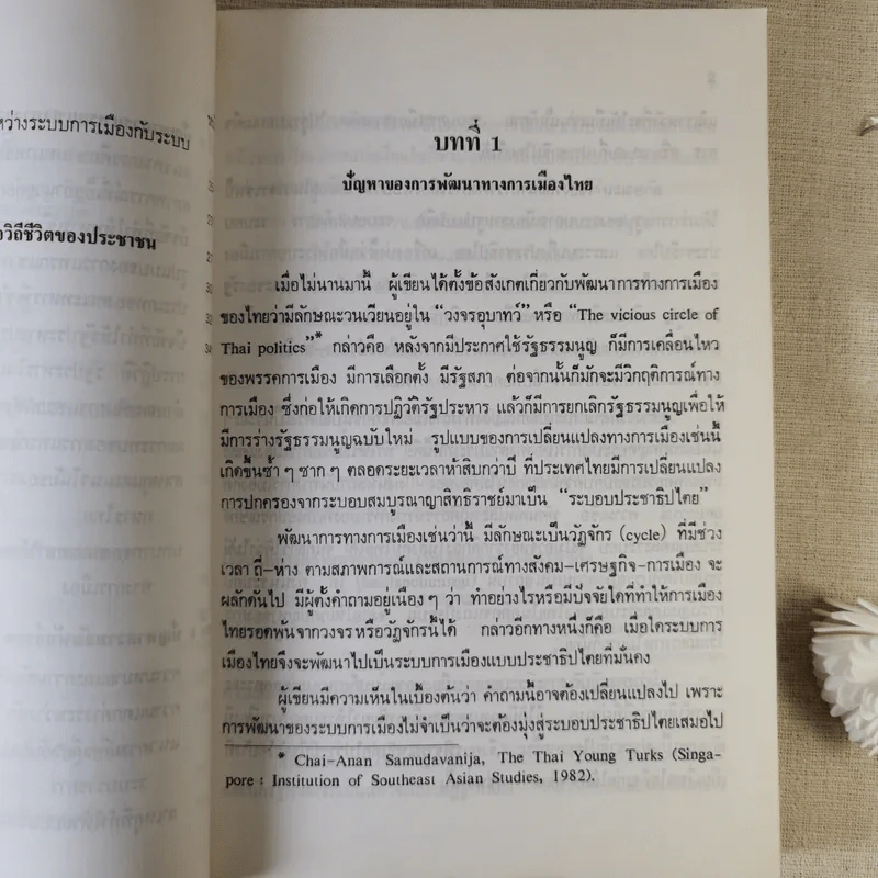 ปัญหาการพัฒนาทางการเมืองไทย - ชัยอนันต์ สมุทวนิช รูปที่ 17
