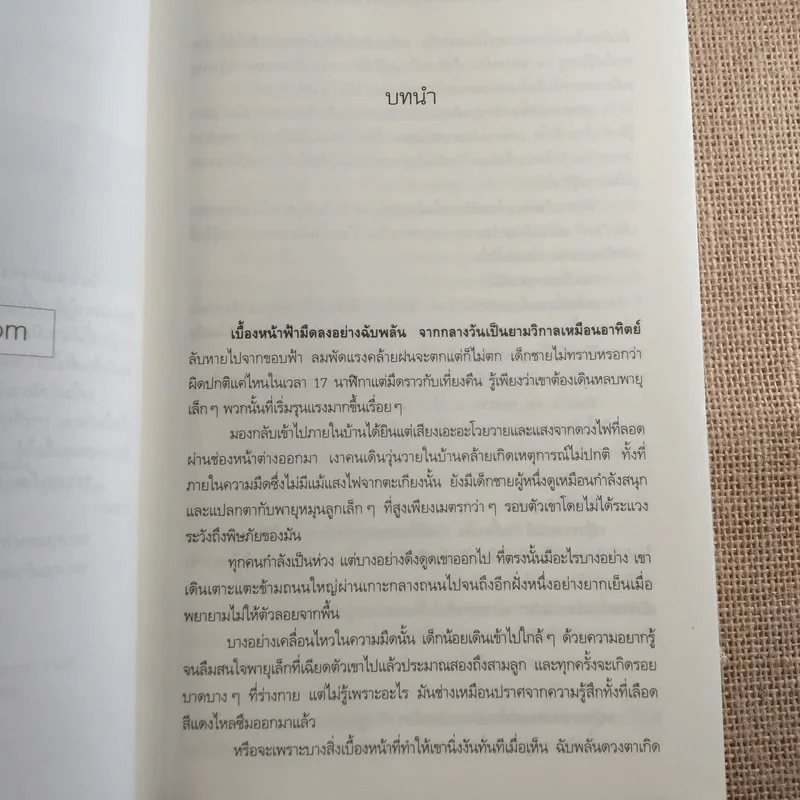 Flower in the Moon ดอกไม้ดอกสุดท้ายในดินแดนเวทมนตร์ - error medicine รูปที่ 8