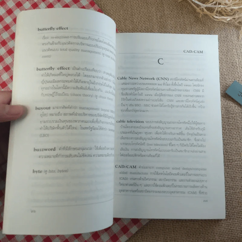 ศัพท์ใหม่อธิบายโลกยุคข้อมูลข่าวสาร - วิทยากร เชียงกูล รูปที่ 11