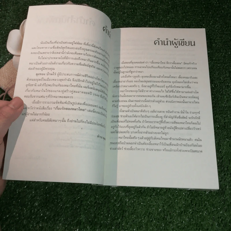สารคดีปีจอ เรื่องรักของหมาไทย - ลุงทอง บ้านไร่ รูปที่ 6