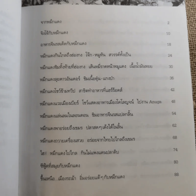 หมึกแดงไกด์ - ม.ล.ศิริเฉลิม สวัสดิวัตน์ รูปที่ 12