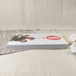 ฮิกาซีน ฉบับพิเศษ เกาะดม ชมโตเกียว รูปที่ 5
