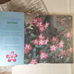 ชวนชม กุหลาบแห่งทะเลทราย - เผด็จ โตนวล, อฤชร พงษ์ไสว รูปที่ 7