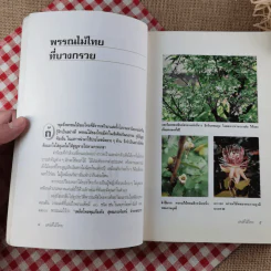 เสน่ห์ไม้ไทย - เสาวลักษณ์ สุขสมัย รูปที่ 13