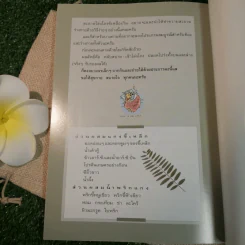 อาหารชีวจิต ตำรับดร.สาทิส-ฉินโฉม อินทรกำแหง และเพื่อนๆชาวชีวจิต รูปที่ 15