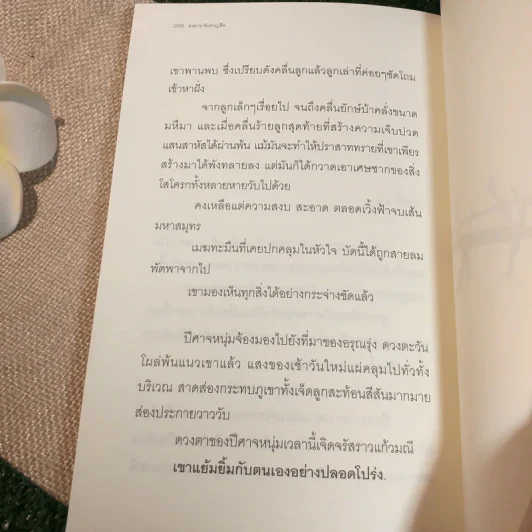 ปีศาจหัวโต - องอาจ ชัยชาญชีพ รูปที่ 9