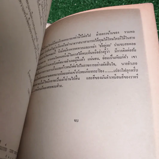 ฟ้าสีดำ แผ่นดินเถื่อน - บุญโชค เจียมวิริยะ รูปที่ 12