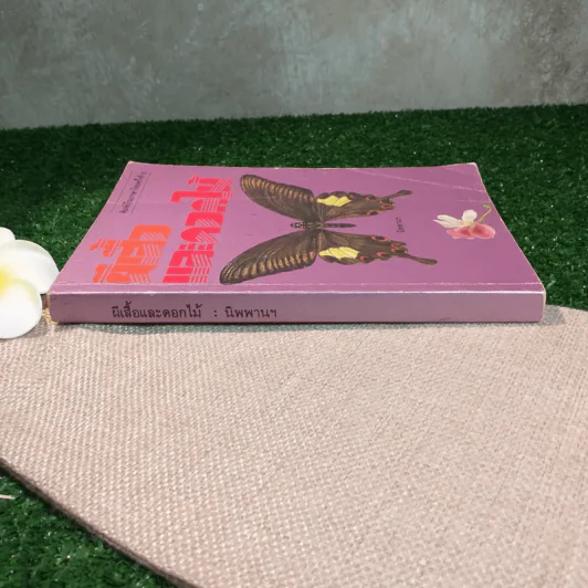 ผีเสื้อและดอกไม้ - นิพพานฯ รูปที่ 2