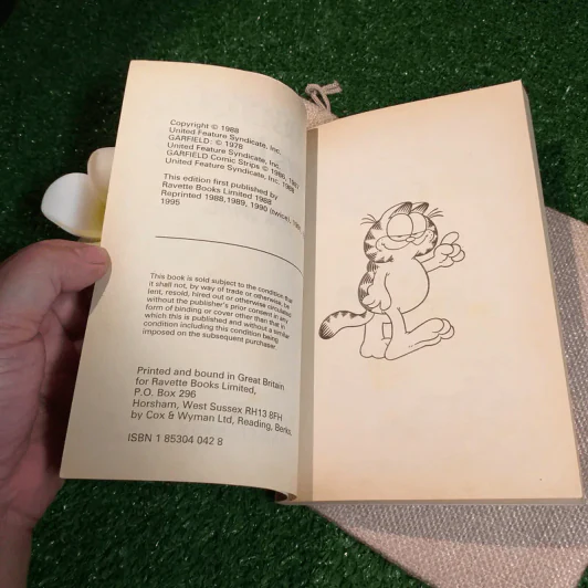 Garfield Plays It Again - Jim Davis รูปที่ 5
