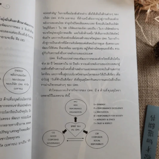 ต้นกล้าในป่าเมฆ วันที่ฟ้าเป็นสีเขียว - สุมิตรา จันทร์เงา รูปที่ 11