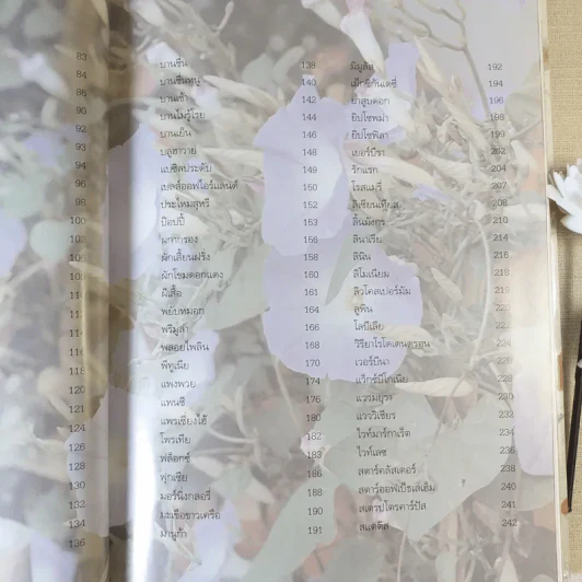 ไม้ดอกแสนสวย - ผศ.ธัญญะ เดชะศีลพิทักษ์ รูปที่ 11