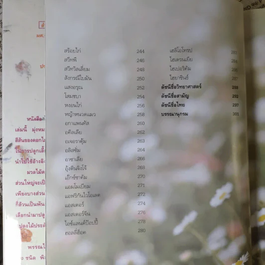 ไม้ดอกแสนสวย - ผศ.ธัญญะ เดชะศีลพิทักษ์ รูปที่ 12