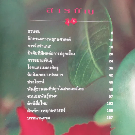 ชวนชม กุหลาบแห่งทะเลทราย - เผด็จ โตนวล, อฤชร พงษ์ไสว รูปที่ 10