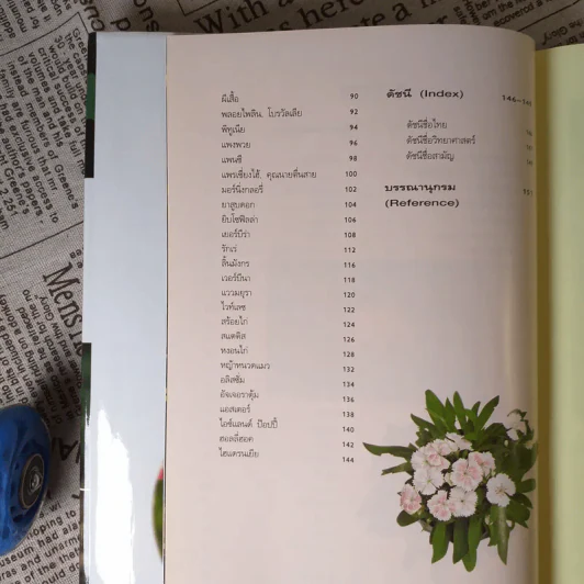 ไม้ดอกแสนสวย ไม้ดอกไม้ประดับ รูปที่ 12