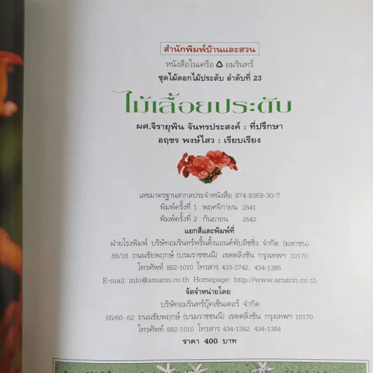ไม้เลื้อยประดับ - ผศ.จิรายุพิน จันทรประสงค์, อฤชร พงษ์ไสว รูปที่ 9