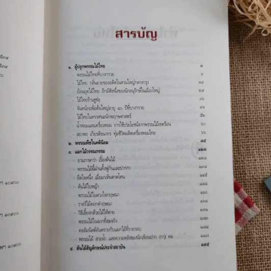 เสน่ห์ไม้ไทย - เสาวลักษณ์ สุขสมัย รูปที่ 9