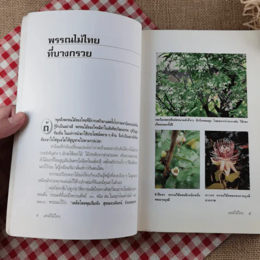 เสน่ห์ไม้ไทย - เสาวลักษณ์ สุขสมัย รูปที่ 13