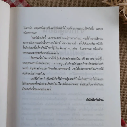 เสน่ห์ไม้ไทย - เสาวลักษณ์ สุขสมัย รูปที่ 11
